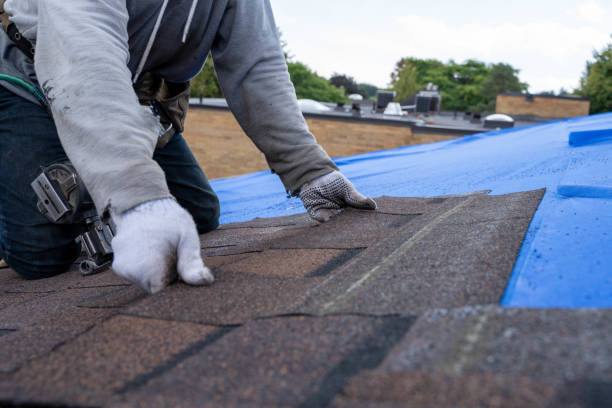 Best Commercial Roofing Services  in Forest, VA