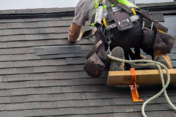 Best Roof Gutter Cleaning  in Forest, VA