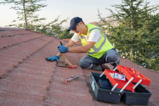 Best Roof Repair Services  in Forest, VA