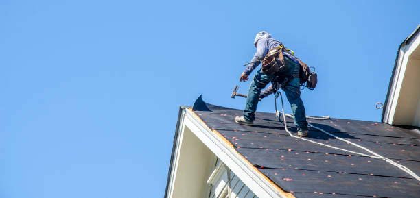 Best Roof Restoration Services  in Forest, VA